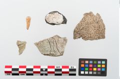 Foto von Leichenbrand (NHMW-PRAE-024136a)